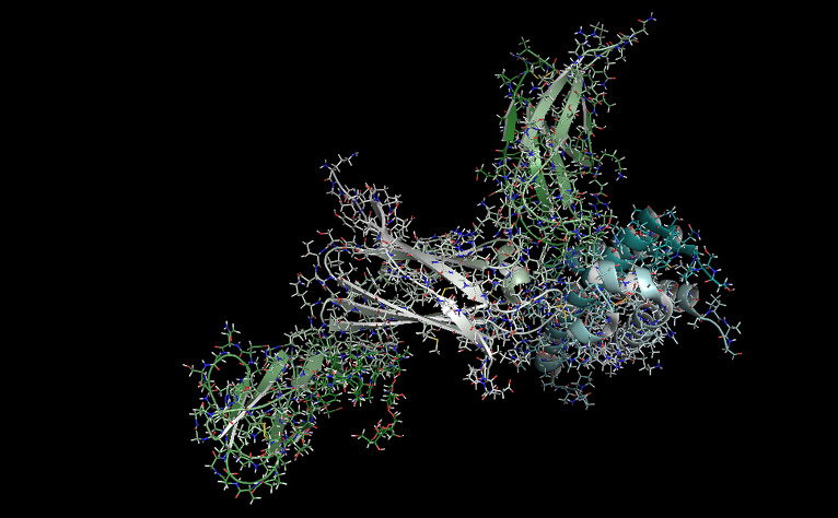 Interleukin 23 (IL-23) protein molecule which is targeted by ustekinumab.